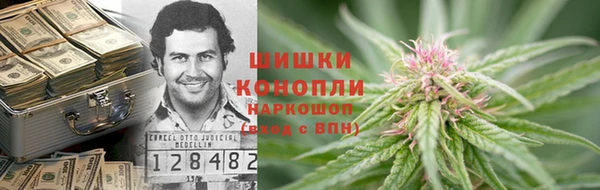 мдпв Верея