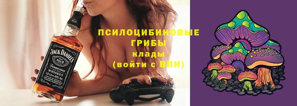 мдпв Верея