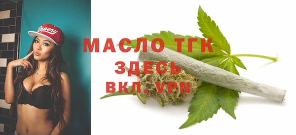 мдпв Верея