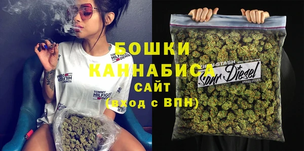 мдпв Верея