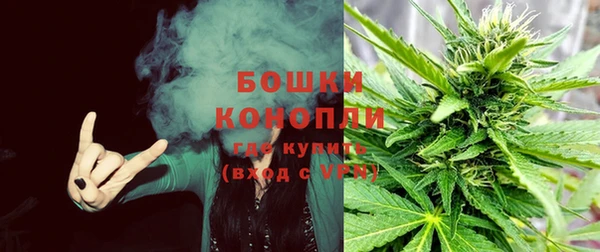 ГАЛЛЮЦИНОГЕННЫЕ ГРИБЫ Верхнеуральск