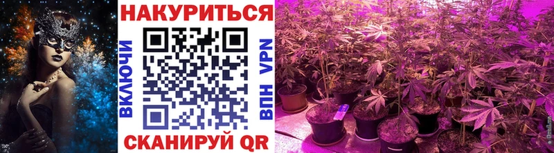 Купить где  Вольск  Марихуана Bruce Banner 
